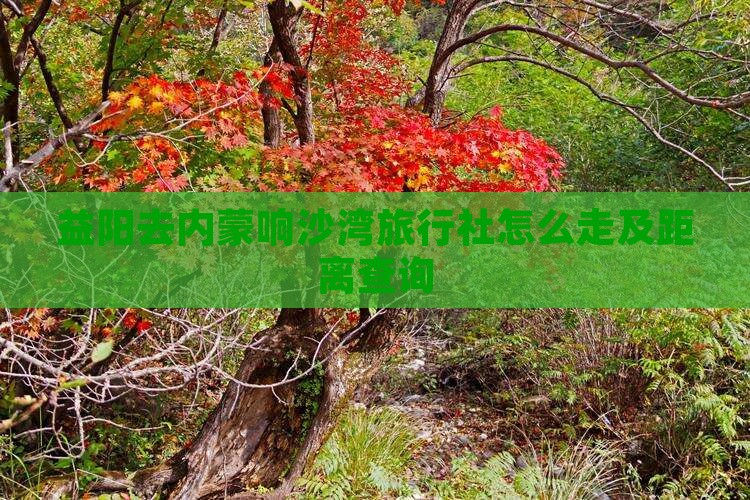 益阳去内蒙响沙湾旅行社怎么走及距离查询
