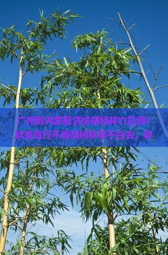 广州到内蒙额济纳胡杨林六日游？秋冬旅行不看胡杨林等于白去，种草种草！
