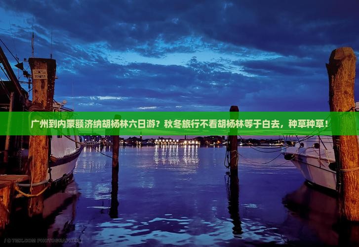 广州到内蒙额济纳胡杨林六日游？秋冬旅行不看胡杨林等于白去，种草种草！