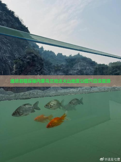 潍坊启程探秘内蒙乌兰哈达火山地质公园六日深度游