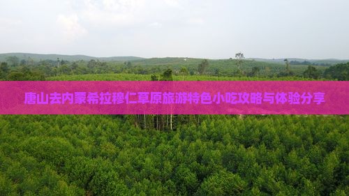 唐山去内蒙希拉穆仁草原旅游特色小吃攻略与体验分享