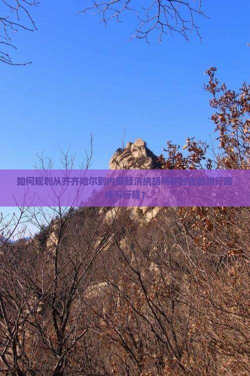 如何规划从齐齐哈尔到内蒙额济纳胡杨林的自助旅行路线与行程？