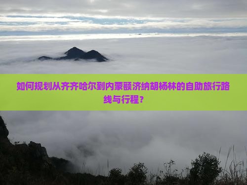 如何规划从齐齐哈尔到内蒙额济纳胡杨林的自助旅行路线与行程？