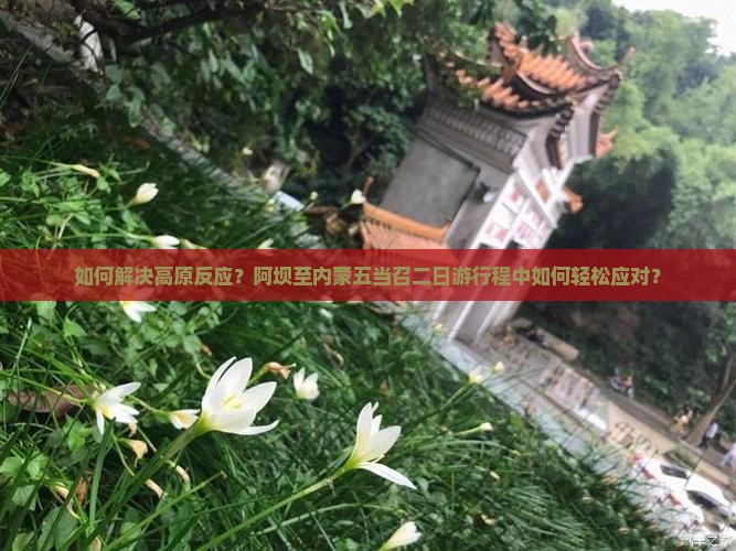 如何解决高原反应？阿坝至内蒙五当召二日游行程中如何轻松应对？