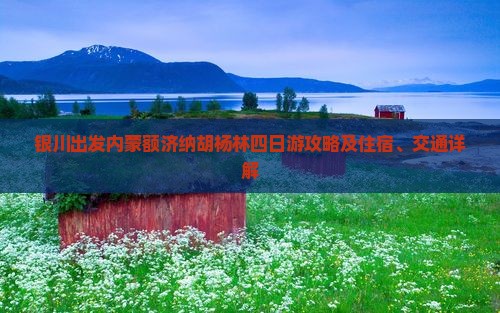 银川出发内蒙额济纳胡杨林四日游攻略及住宿、交通详解