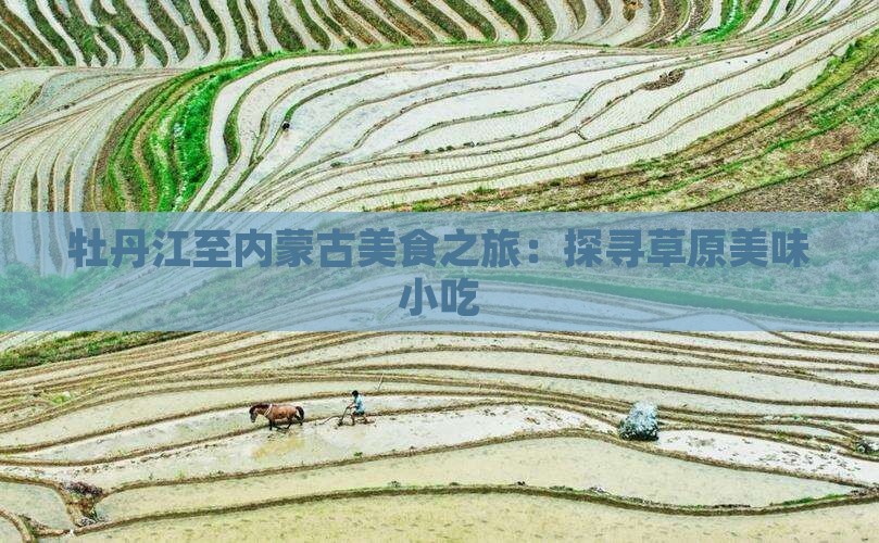 牡丹江至内蒙古美食之旅：探寻草原美味小吃