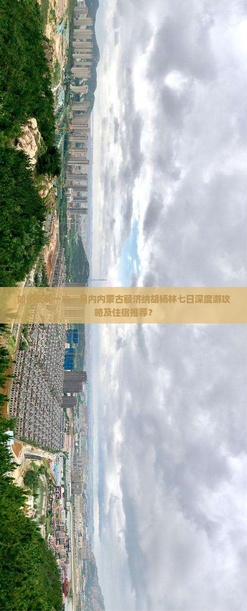 如何规划一次一月内内蒙古额济纳胡杨林七日深度游攻略及住宿推荐？