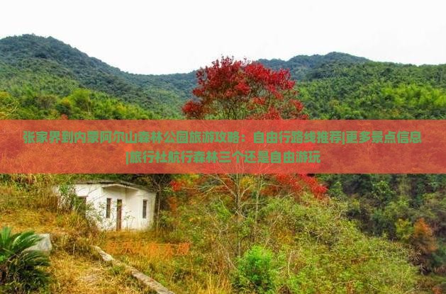 张家界到内蒙阿尔山森林公园旅游攻略：自由行路线推荐|更多景点信息|旅行社航行森林三个还是自由游玩