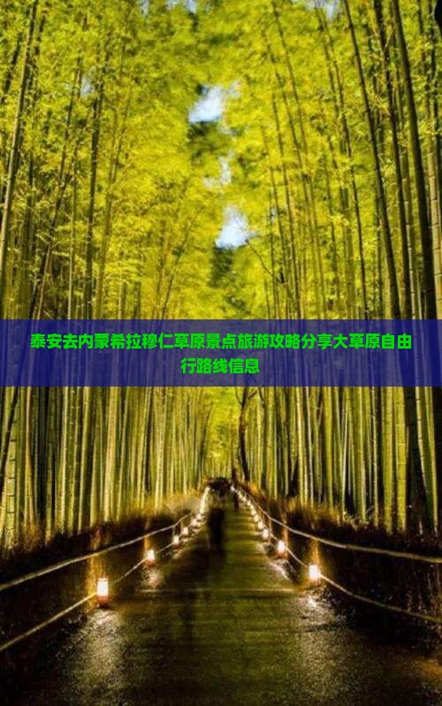 泰安去内蒙希拉穆仁草原景点旅游攻略分享大草原自由行路线信息