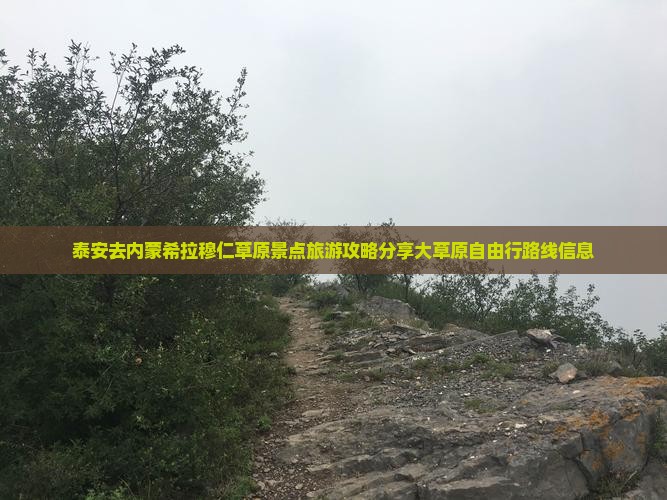 泰安去内蒙希拉穆仁草原景点旅游攻略分享大草原自由行路线信息