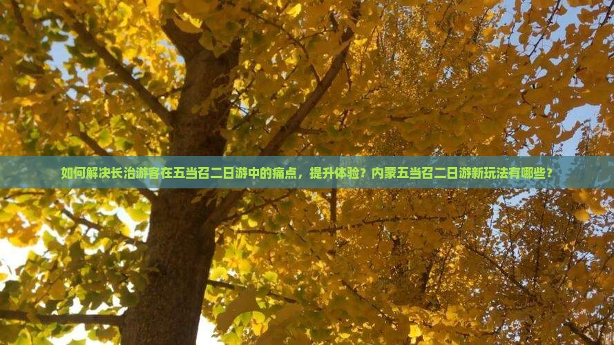 如何解决长治游客在五当召二日游中的痛点，提升体验？内蒙五当召二日游新玩法有哪些？