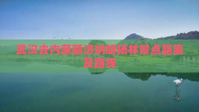 武汉去内蒙额济纳胡杨林景点距离及路线