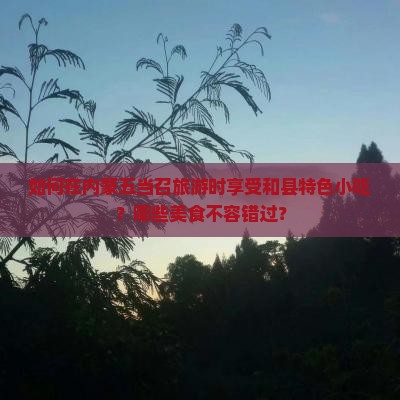 如何在内蒙五当召旅游时享受和县特色小吃？哪些美食不容错过？