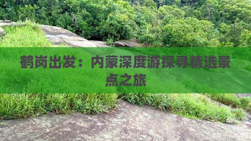 鹤岗出发：内蒙深度游探寻精选景点之旅