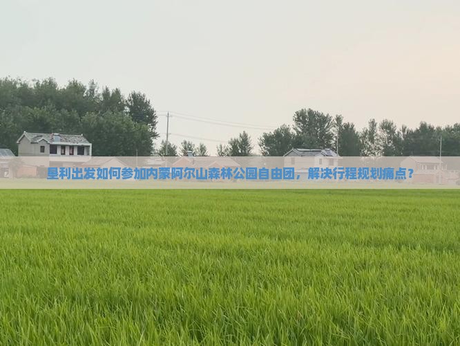 垦利出发如何参加内蒙阿尔山森林公园自由团，解决行程规划痛点？