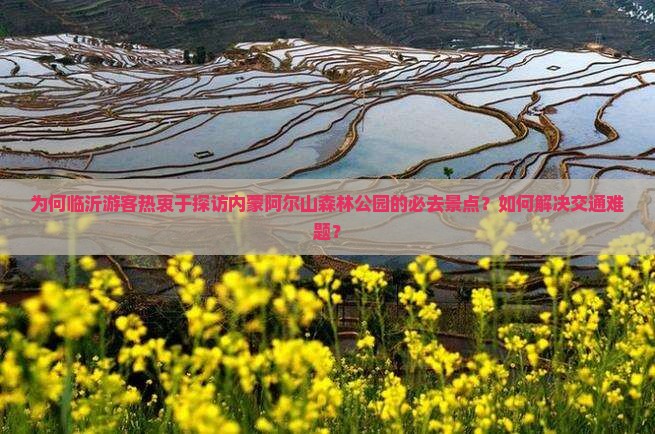 为何临沂游客热衷于探访内蒙阿尔山森林公园的必去景点？如何解决交通难题？