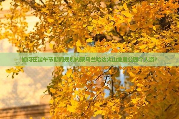 如何在端午节期间规划内蒙乌兰哈达火山地质公园个人游？
