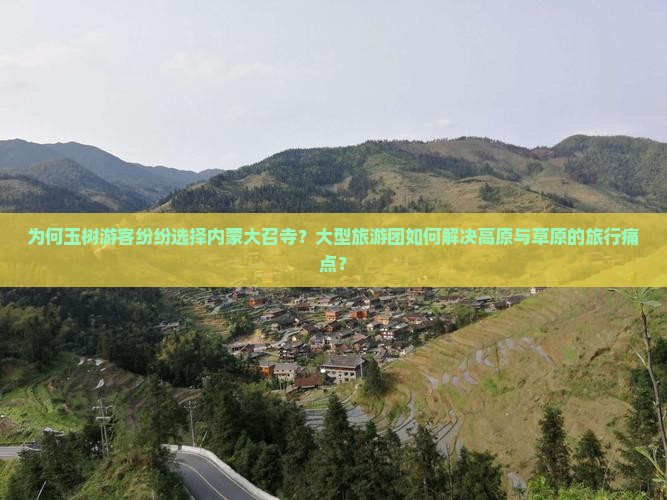 为何玉树游客纷纷选择内蒙大召寺？大型旅游团如何解决高原与草原的旅行痛点？
