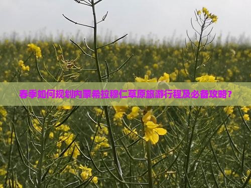 春季如何规划内蒙希拉穆仁草原旅游行程及必备攻略？