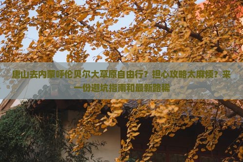 唐山去内蒙呼伦贝尔大草原自由行？担心攻略太麻烦？来一份避坑指南和最新路稀