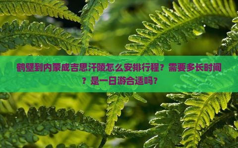 鹤壁到内蒙成吉思汗陵怎么安排行程？需要多长时间？是一日游合适吗？