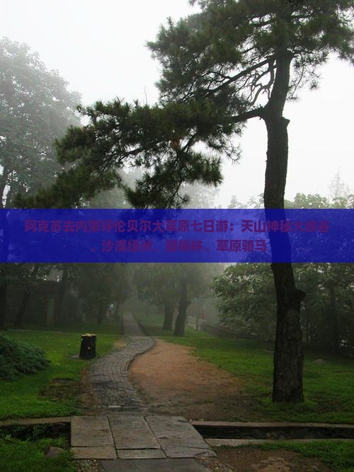 阿克苏去内蒙呼伦贝尔大草原七日游：天山神秘大峡谷、沙漠绿洲、胡杨林、草原骑马