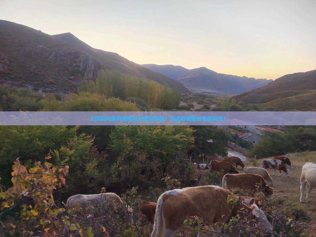 大同到内蒙有哪些景点值得游玩？沿途有哪些必看的风景？