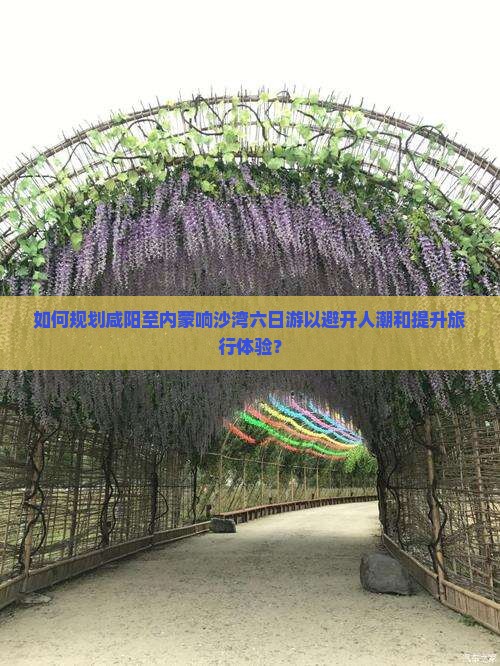 如何规划咸阳至内蒙响沙湾六日游以避开人潮和提升旅行体验？