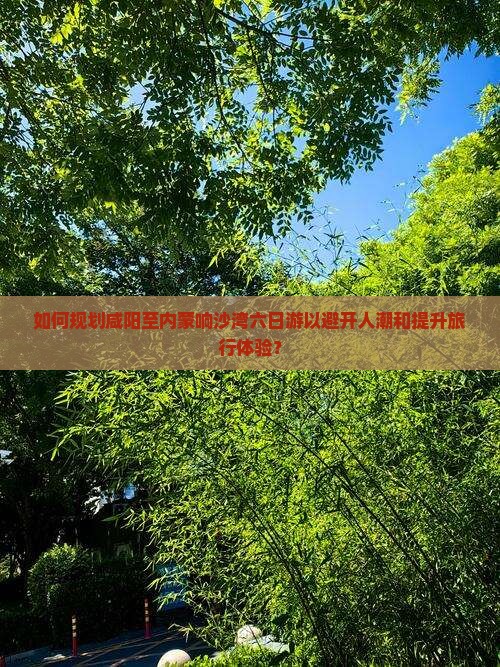 如何规划咸阳至内蒙响沙湾六日游以避开人潮和提升旅行体验？