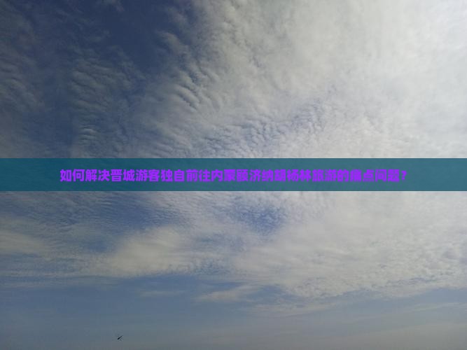 如何解决晋城游客独自前往内蒙额济纳胡杨林旅游的痛点问题？