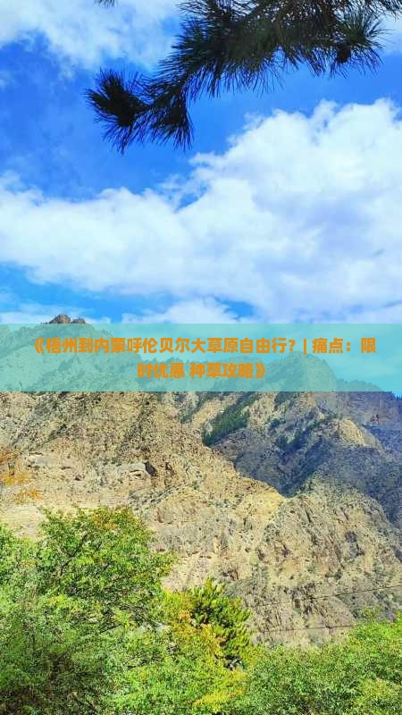 《梧州到内蒙呼伦贝尔大草原自由行？| 痛点：限时优惠+种草攻略》