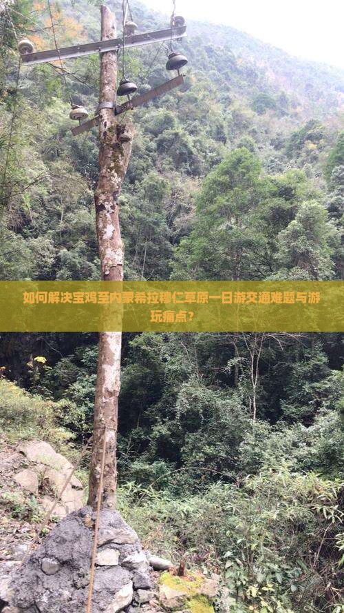 如何解决宝鸡至内蒙希拉穆仁草原一日游交通难题与游玩痛点？