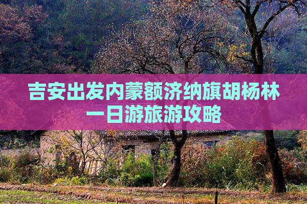 吉安出发内蒙额济纳旗胡杨林一日游旅游攻略
