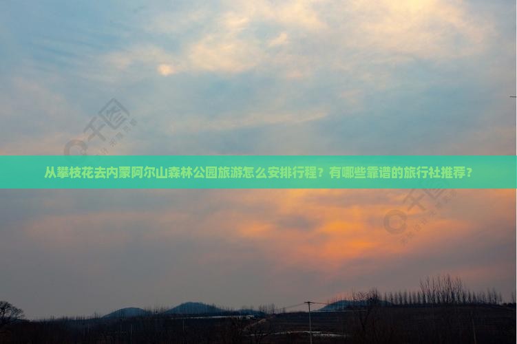从攀枝花去内蒙阿尔山森林公园旅游怎么安排行程？有哪些靠谱的旅行社推荐？