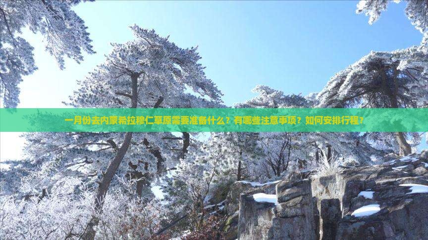 一月份去内蒙希拉穆仁草原需要准备什么？有哪些注意事项？如何安排行程？