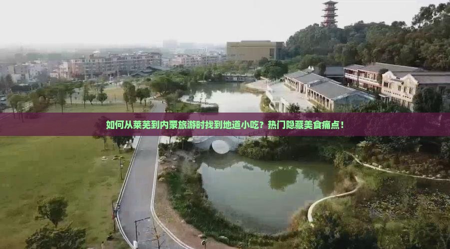 如何从莱芜到内蒙旅游时找到地道小吃？热门隐藏美食痛点！