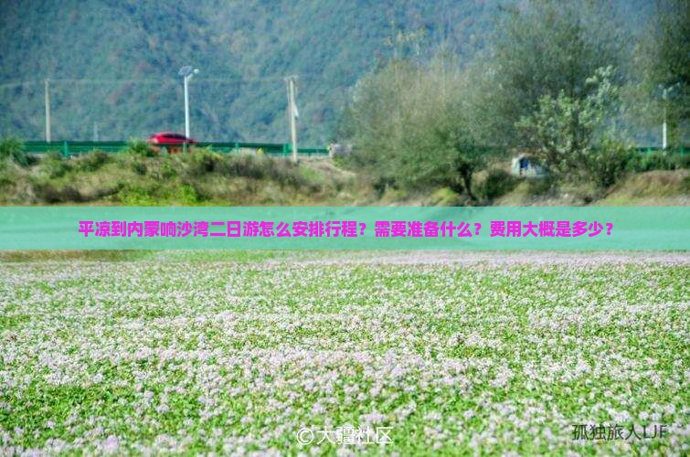 平凉到内蒙响沙湾二日游怎么安排行程？需要准备什么？费用大概是多少？