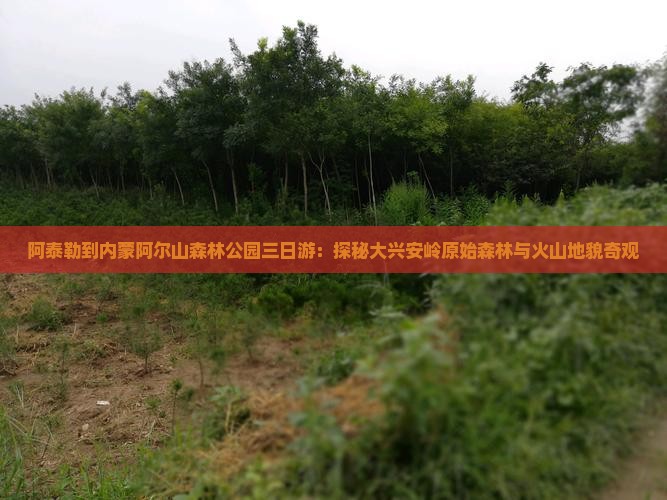 阿泰勒到内蒙阿尔山森林公园三日游：探秘大兴安岭原始森林与火山地貌奇观