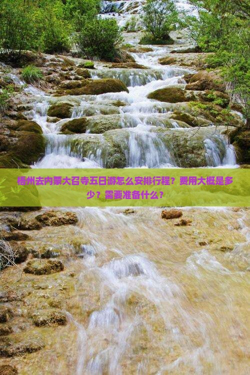 梧州去内蒙大召寺五日游怎么安排行程？费用大概是多少？需要准备什么？