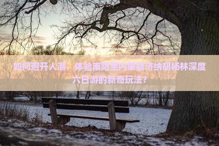 如何避开人潮，体验南阳至内蒙额济纳胡杨林深度六日游的新奇玩法？