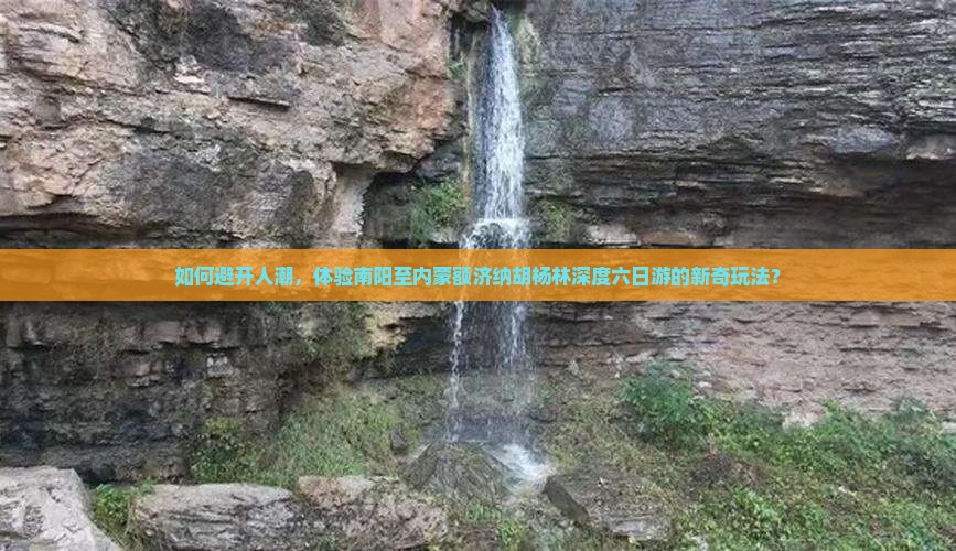 如何避开人潮，体验南阳至内蒙额济纳胡杨林深度六日游的新奇玩法？