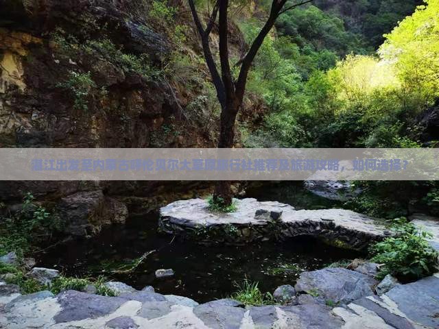 湛江出发至内蒙古呼伦贝尔大草原旅行社推荐及旅游攻略，如何选择？
