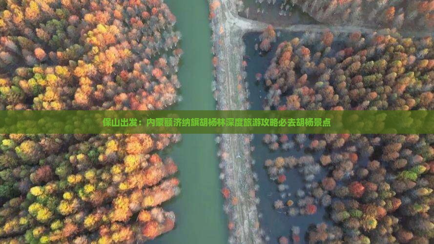 保山出发：内蒙额济纳旗胡杨林深度旅游攻略必去胡杨景点