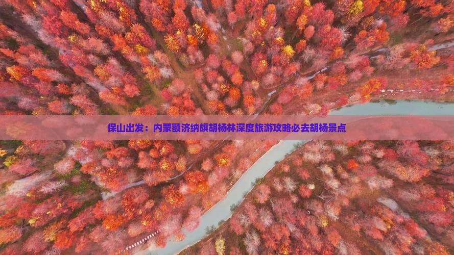 保山出发：内蒙额济纳旗胡杨林深度旅游攻略必去胡杨景点