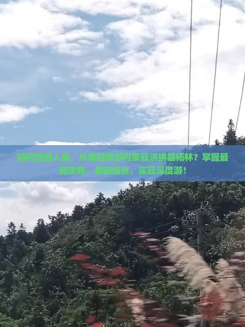 如何规避人潮，从衡阳畅游内蒙额济纳胡杨林？掌握最新攻略，解锁痛点，实现深度游！