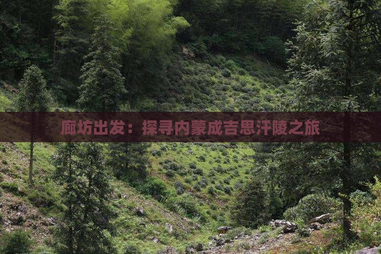廊坊出发：探寻内蒙成吉思汗陵之旅