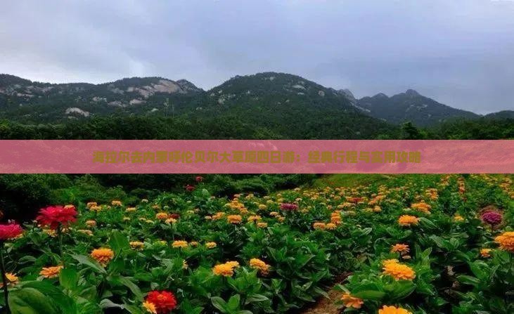 海拉尔去内蒙呼伦贝尔大草原四日游：经典行程与实用攻略