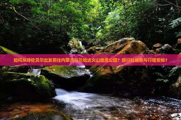 如何从呼伦贝尔出发前往内蒙古乌兰哈达火山地质公园？旅行社推荐与行程安排？