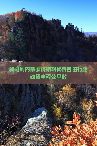 朝阳到内蒙额济纳胡杨林自由行路线及全程公里数