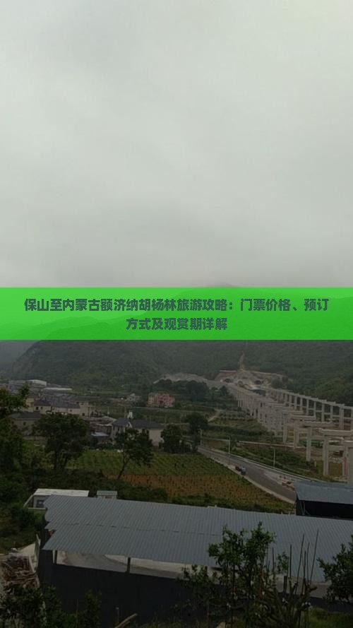 保山至内蒙古额济纳胡杨林旅游攻略：门票价格、预订方式及观赏期详解